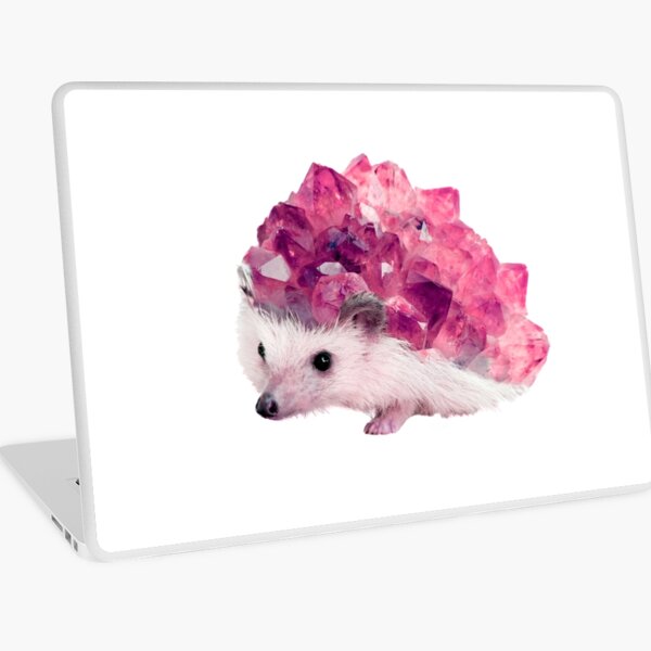 Lucky Mineral hedgehog by Alice Monber Laptop Skin
