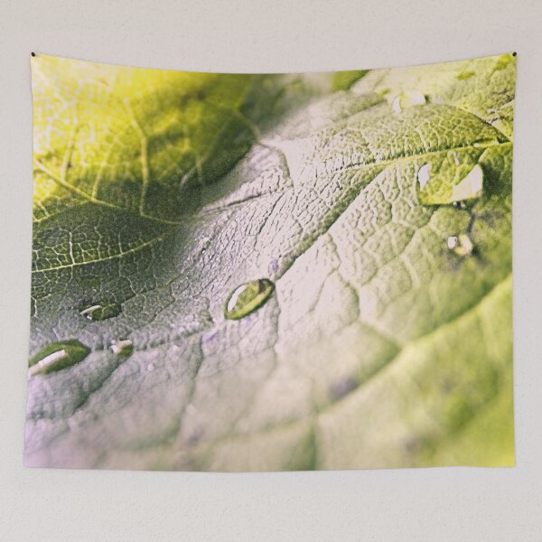 Item preview, Water Drops On Rose Leaf designed and sold by SexyEyes69.