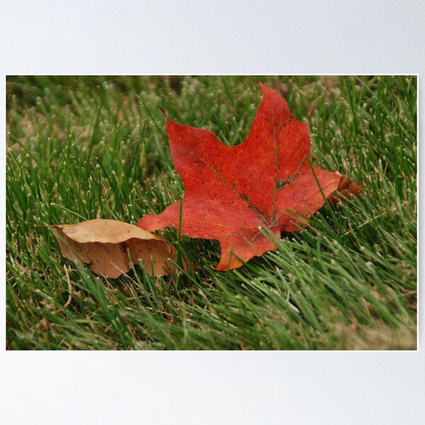 Item preview, Leaves designed and sold by Vonnie Murfin.