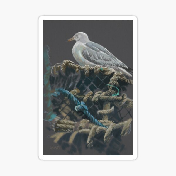 Seagull at St Ives Sticker