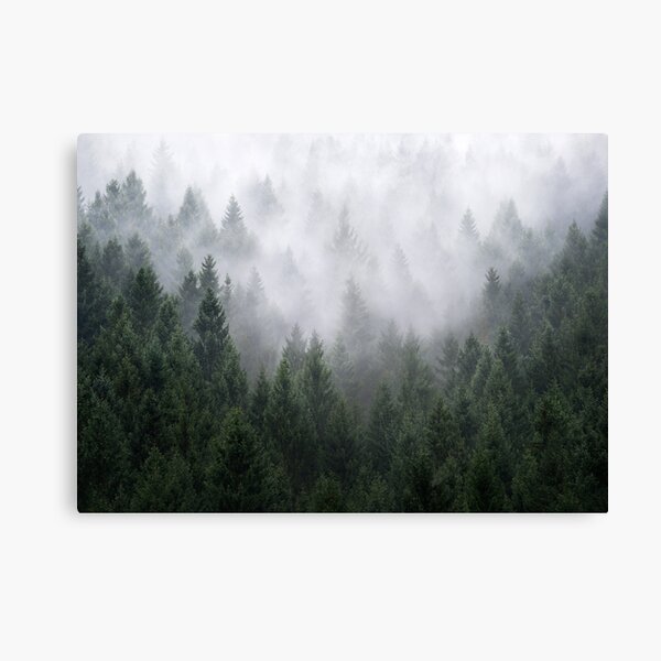 Home Is A Feeling Canvas Print