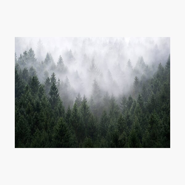 Item preview, Home Is A Feeling //  Misty Retro Fall Wilderness Fairytale Evergreen Forest With Trees Covered In Magic Fog Season designed and sold by Tordis Kayma.