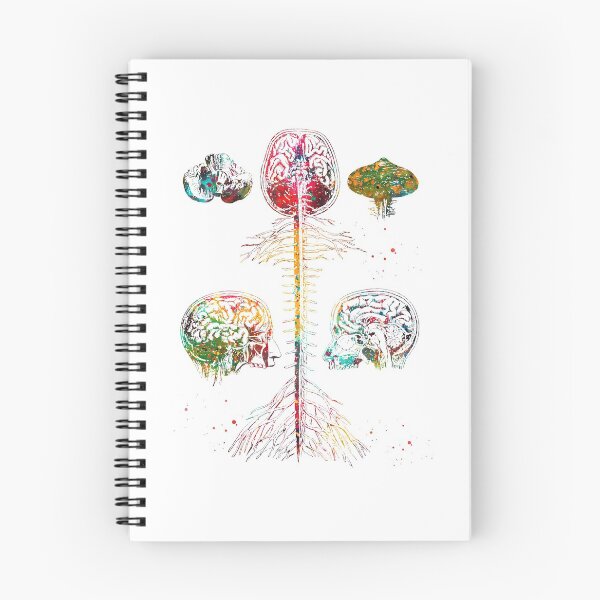 Item preview,  Brain and spine designed and sold by Liededrom..