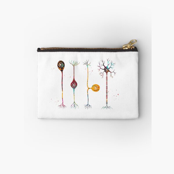Item preview, Four types of neurons designed and sold by Liededrom..