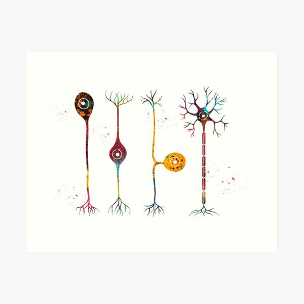 Vista previa del artículo con la obra «Cuatro tipos de neuronas», diseñado y vendido por Liededrom..