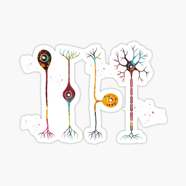 Vista previa del artículo con la obra «Cuatro tipos de neuronas», diseñado y vendido por Liededrom..