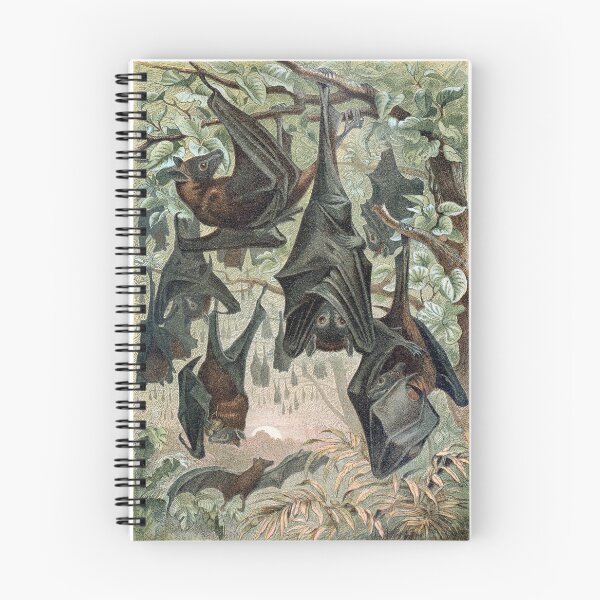 Item preview, Flying foxes designed and sold by StbdCapsized.