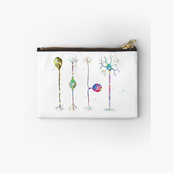Item preview, Four types of neurons designed and sold by Liededrom..