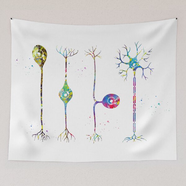 Item preview, Four types of neurons designed and sold by Liededrom..