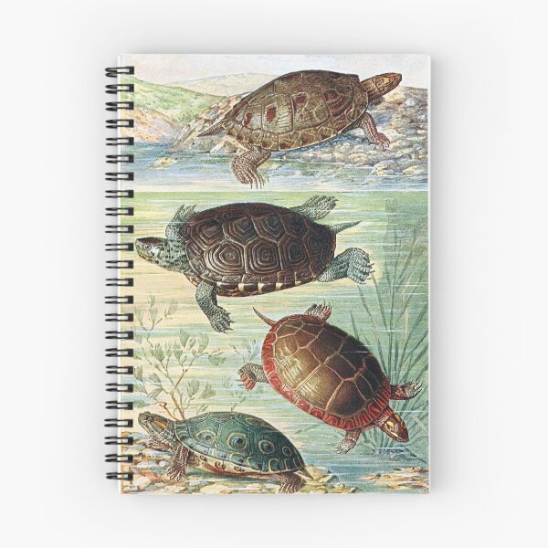 Item preview, American water turtles designed and sold by StbdCapsized.