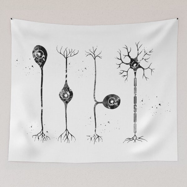 Item preview, Four types of neurons designed and sold by Liededrom..