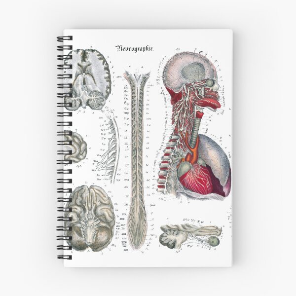 Item preview, neurography designed and sold by StbdCapsized.