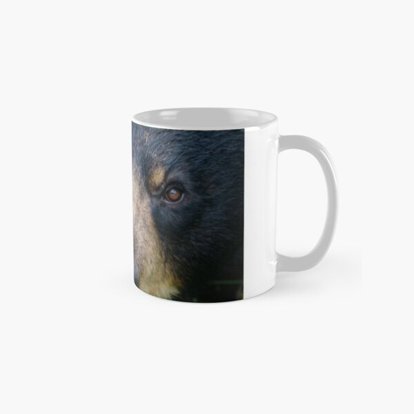 Bear close up Classic Mug