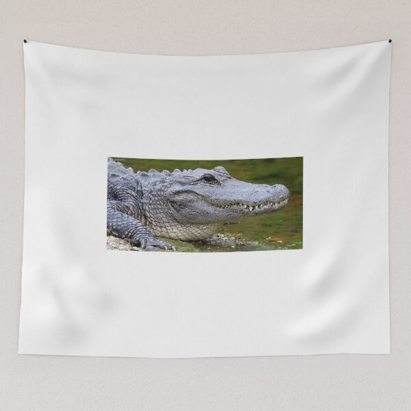 Item preview, Alligator T-shirt  & sticker, American Alligator Shirts  & stickers designed and sold by rachimariposa.
