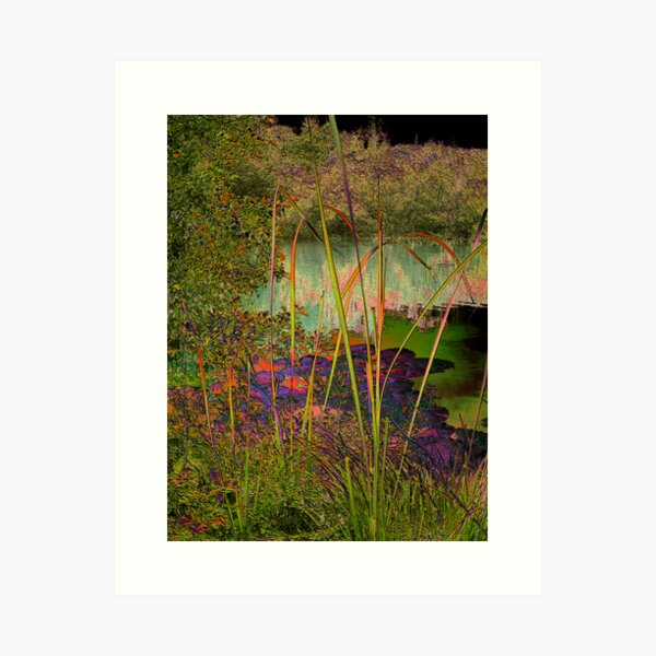 VIOLET LAKE Art Print