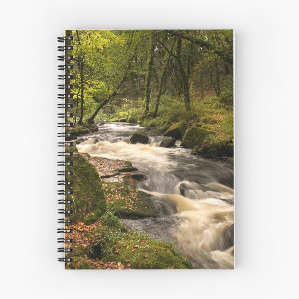 Item preview, Golitha falls Cornwall designed and sold by eddiej.