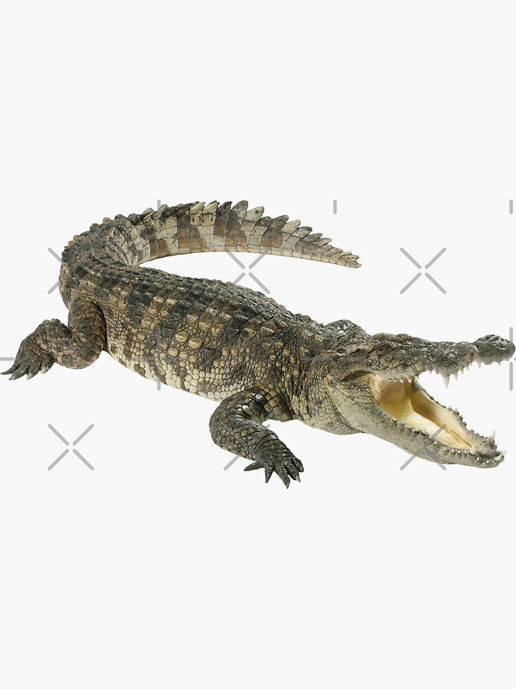 crocodile sticker