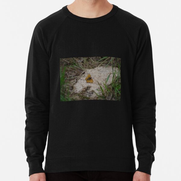 Fritillary Butterfly Lightweight Sweatshirt
