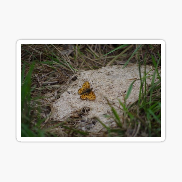 Fritillary Butterfly Sticker