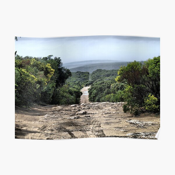 Lifes Bumpy Road Poster