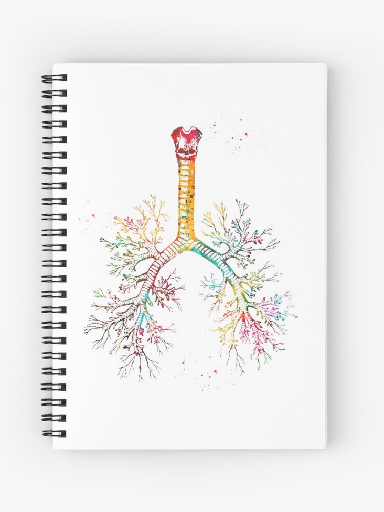 Cuaderno de espiral «Árbol bronquial» de erzebetth | Redbubble