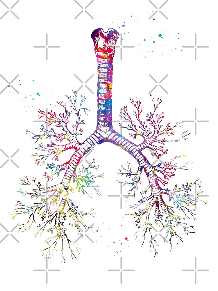 "Bronchial tree" by erzebetth | Redbubble