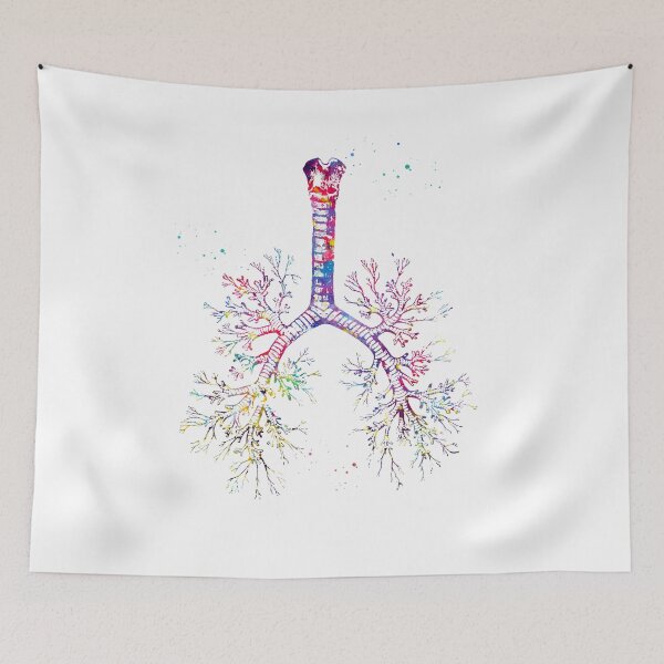 Item preview, Bronchial tree designed and sold by Liededrom..