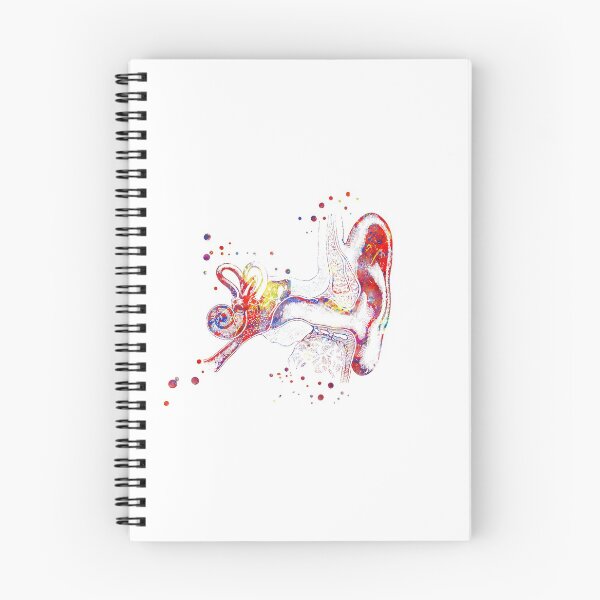 Item preview, Ear anatomy, Inner ear, Cochlea Histology,  Audiology designed and sold by Rosaliartbook.