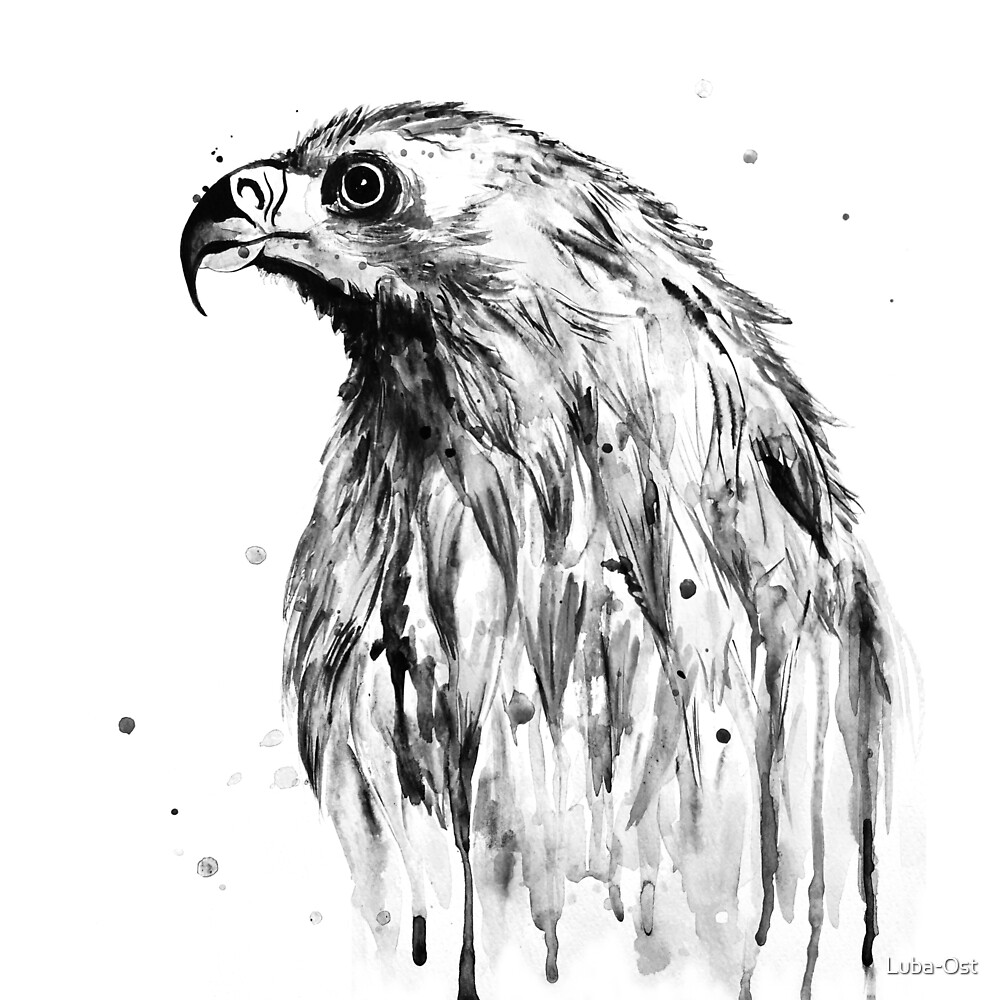Aguila Blanco Y Negro De Luba Ost Redbubble