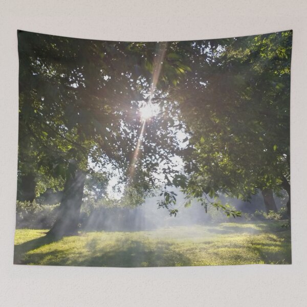 Item preview, #11 |☼| Smoky Tree Sun Rays - Landscape Shot (Pearson Park) designed and sold by Naean H.F. (Nez Man).