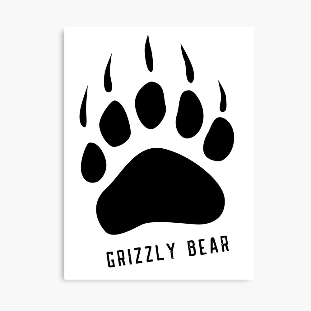 Best Grizzly Bear Paw T Shirt Sticker Bear Paw Stickers And Shirt Photographic Print By Rachimariposa Redbubble