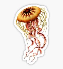 Pegatina Medusa