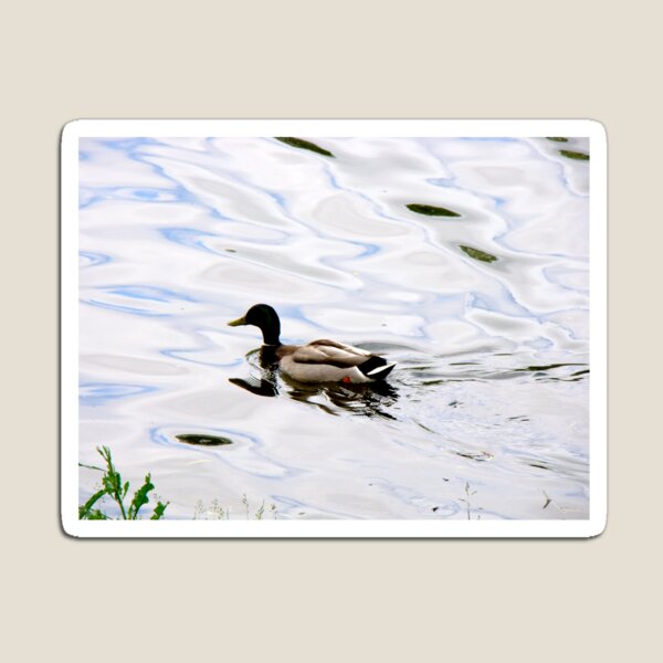 Item preview, Duck on the Water designed and sold by fairielights.