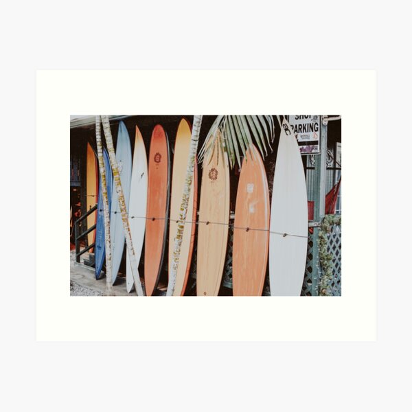 Aperçu de l'œuvre allons surfer ii créée et vendue par mauikauai.