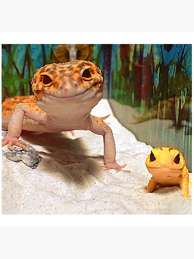 Descobrir 31+ imagem gecko happy - br.thptnganamst.edu.vn