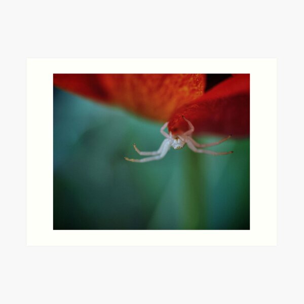 Creepy crawly Art Print