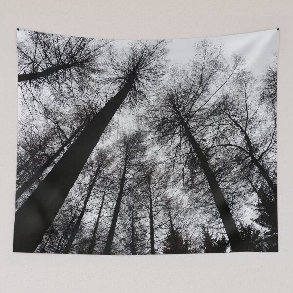 Item preview, Enchanted Trees of Macclesfield Forest in the Peak District designed and sold by LivingDeadGirlx.