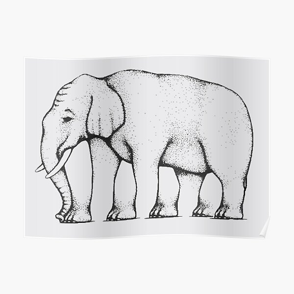 "Elephant - How Many Legs?" Poster For Sale By Dandarey | Redbubble