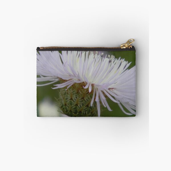 Item preview, Basket Flower, Star Thistle - Centaurea americana designed and sold by Navigator.