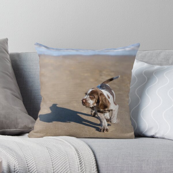 Shadow Spinone Throw Pillow