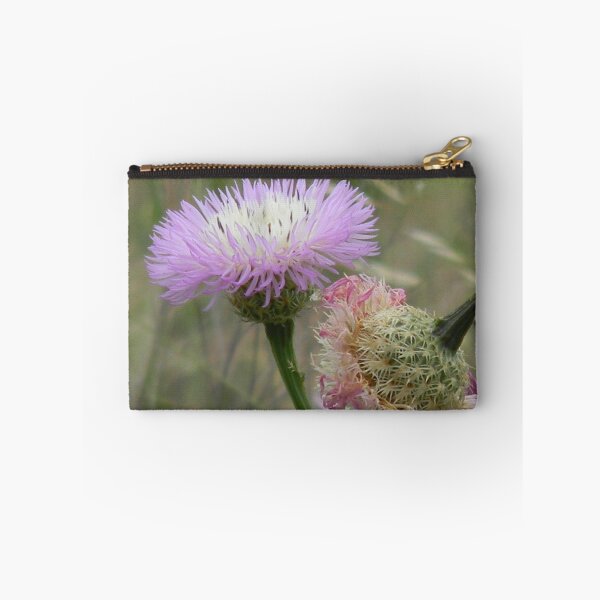 Item preview, Old and New Star Thistle designed and sold by Navigator.