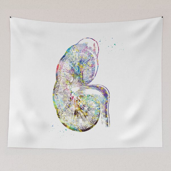 Item preview, Kidney section  designed and sold by Liededrom..