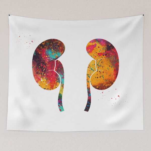Item preview, The Kidneys anatomy designed and sold by Liededrom..