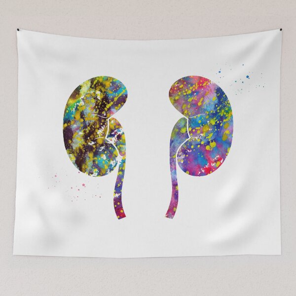 Item preview, The Kidneys anatomy designed and sold by Liededrom..