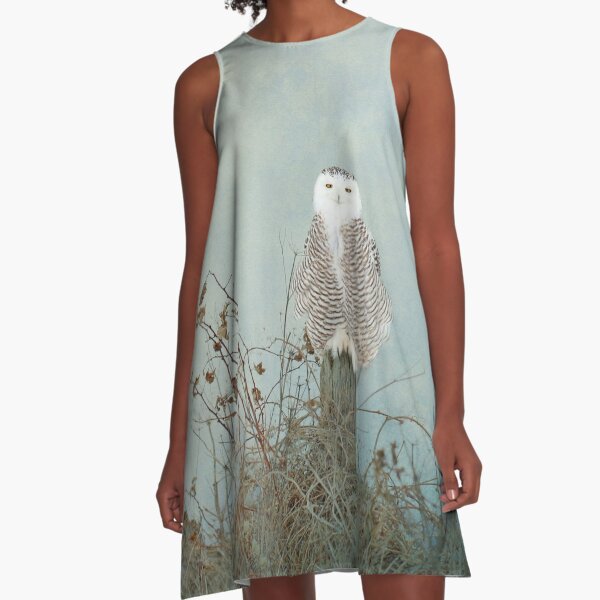 You are too beautiful A-Line Dress