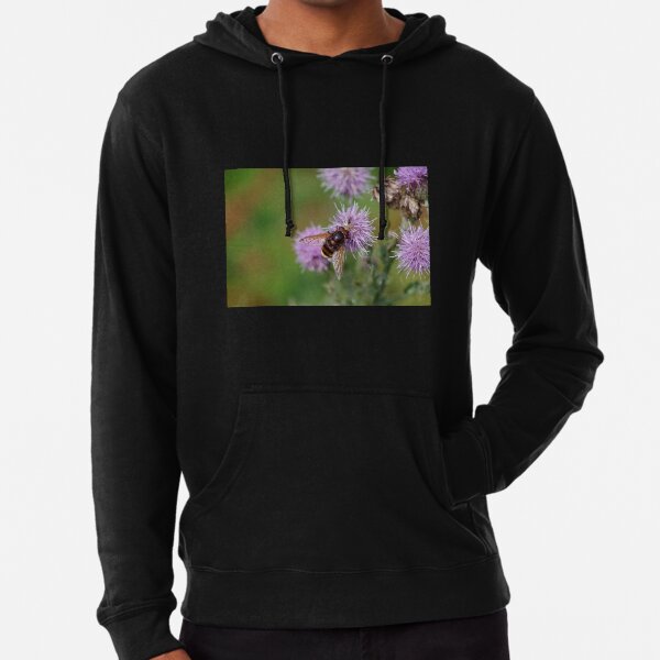 Belted Hoverfly Lightweight Hoodie