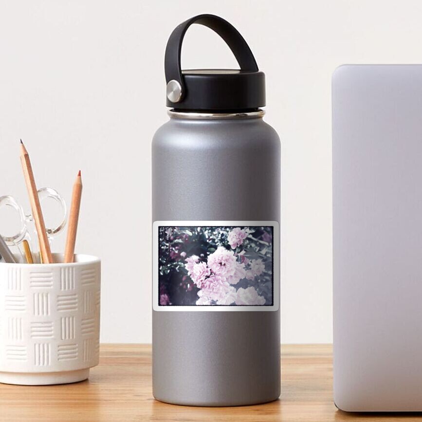 Faded Roses Sticker
