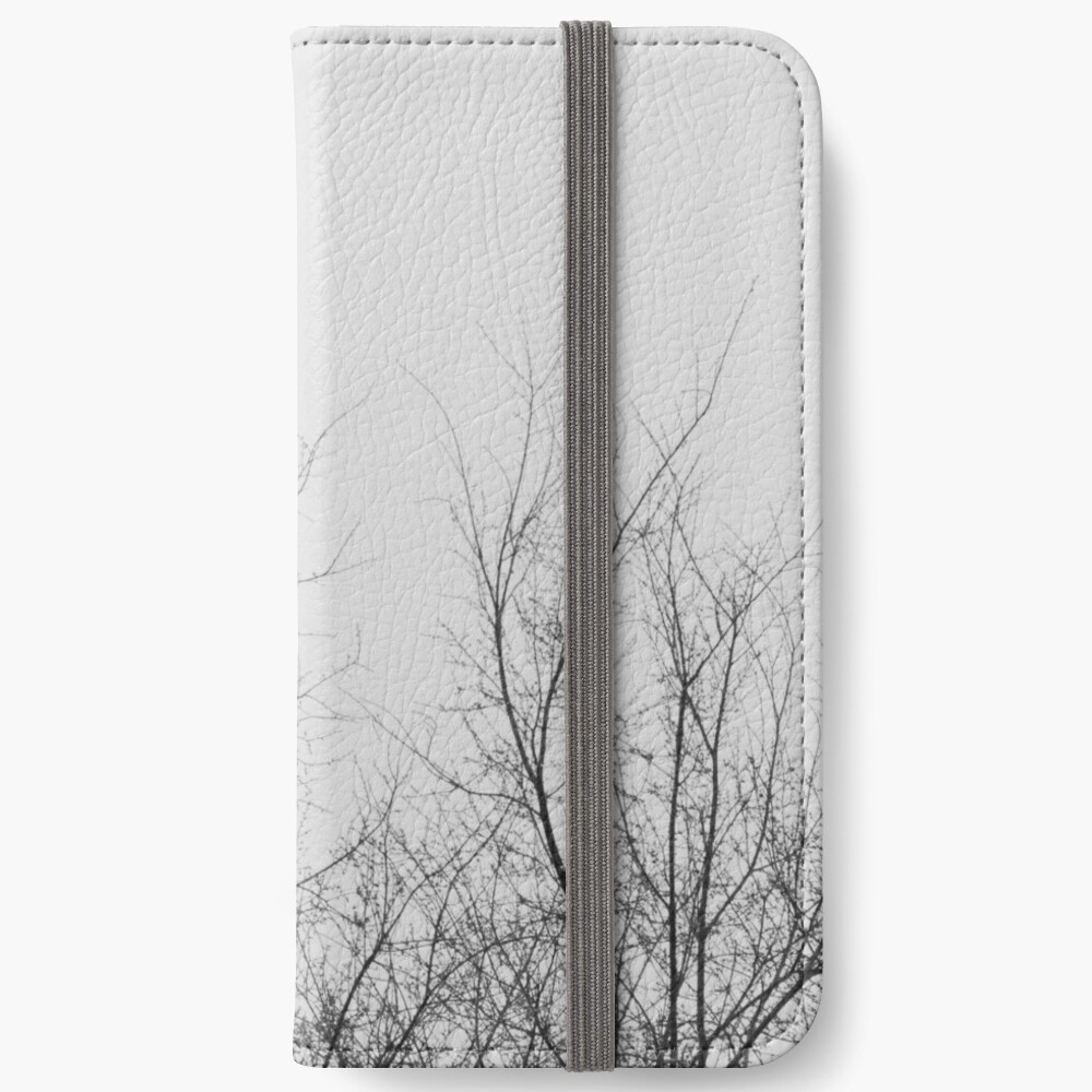 Winter is coming! iPhone Wallet