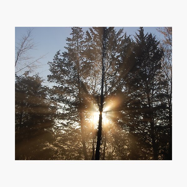 Good morning, sunshine! Photographic Print