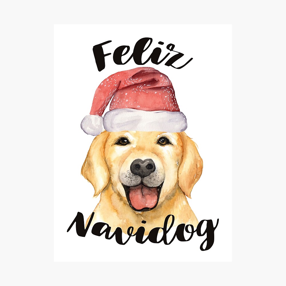 feliz navi dog